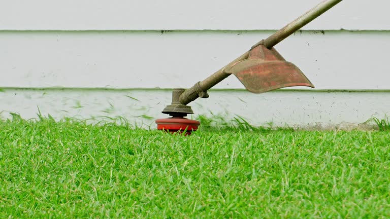 Best Leaf Removal  in Stem, NC